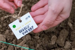 Rezolv Energy contributes to the ‘Make it Grow’ initiative in Romania